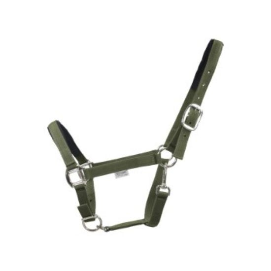 EQuest Halfter Dual Plus Nickel oliv VB/ COB (Vollblut) (EQuest)