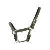 EQuest Halfter Dual Plus Nickel oliv VB/ COB (Vollblut) (EQuest)