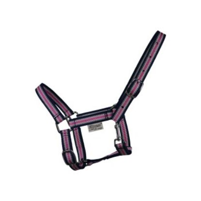 EQuest Halfter Dual Shetty (EQuest)