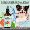 noms+ Dentalspray bei Zahnstein für Hunde und Katzen 100ml (noms+)