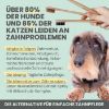 noms+ Dentalspray bei Zahnstein für Hunde und Katzen 100ml (noms+)