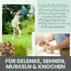 noms+ Gelenkmix für Hunde & Katzen mit Teufelskralle, Kurkuma & Glucosamin 150g (noms+)