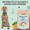 noms+ Verdauungsmix für Hunde als Probiotikum 150g (noms+)