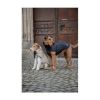 SPOOKS Hundemantel Oskiino navy XS (SPOOKS)