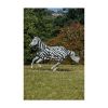 Bucas Fliegendecke Buzz-Off Zebra Full Neck 1,25 m (Bucas)