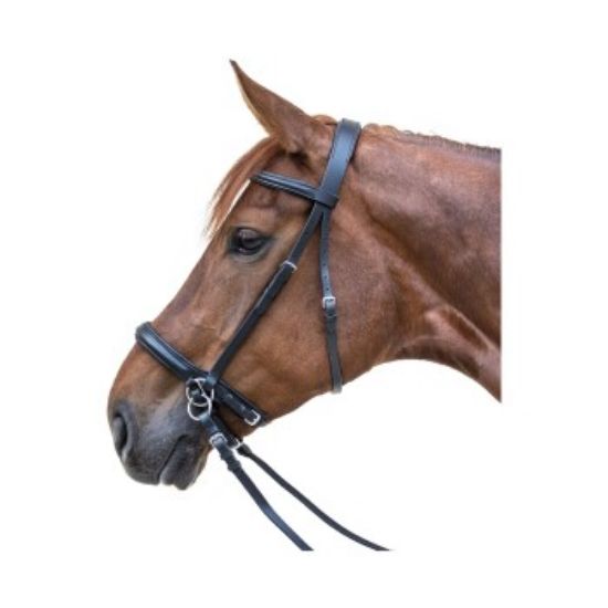 STAR Trensenzaum Gebisslos Pony (Star)