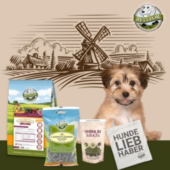 Bellfor Havaneser Futter Set (Bellfor)