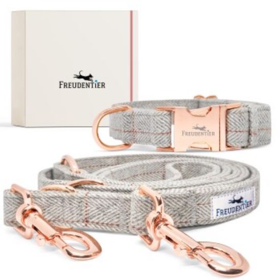 Freudentier Hundehalsband & Hundeleine im Set - 2m Führleine, 3-fach verstellbar - Classic Kollektion M-XL (Freudentier)
