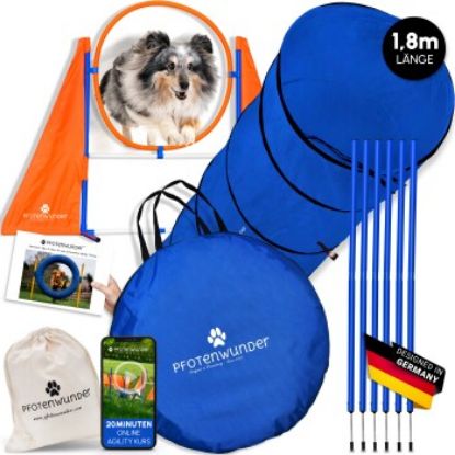 PfotenWunder® Agility-Medium-Set Hunde groß + 21 Min. HUNDESCHULE - 6 Slalomstangen, 1 Tunnel, für kleine & große Hunde, Training Sport Spielzeug Cavaletti Parcour Steckhürdenset Zubehör Hürden (PfotenWunder®)