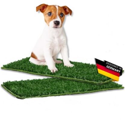 PfotenWunder® 2x PfotenWunder Ersatzrasen für Hundeklo, Hundetoilette für kleine & große Hunde, 100% Festes Gras, Welpentoilette drinnen Welpenklo zuhause Gras Hundetoiletten Balkon Indoor WC Klo (PfotenWunder®)