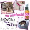 BeG Buddy COOLness Kitty Spray für Katzen, Beruhigung / Entspannung Katze 30ml (BeG Buddy)