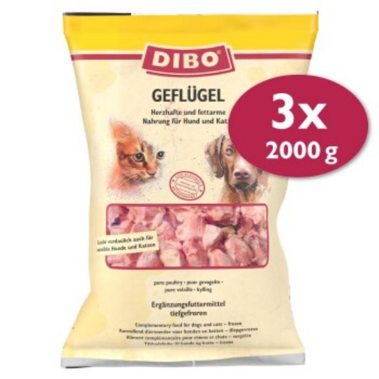 DIBO Frostfutter Geflügel 3x2 kg (DIBO)