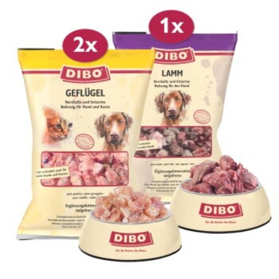 DIBO Frostfutter Geflügel & Lamm Bundle (DIBO)