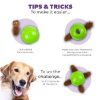 Nina Ottosson Dog Snuffle N' Treat Ball small Intelligenzspielzeug (Nina Ottosson)