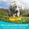HUND IST KÖNIG ® Futterbeutel Hund | Futterdummy Hunde | Apportierbeutel für Hunde mit Handschlaufe limonen gelb (HUND IST KÖNIG)
