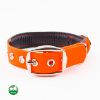 PetTec veganes Hundehalsband orange M (PetTec)