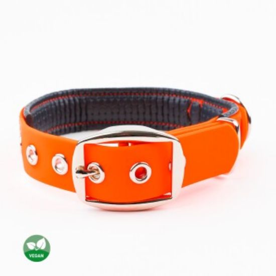 PetTec veganes Hundehalsband orange M (PetTec)