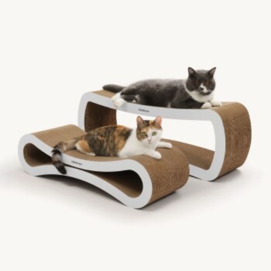 PetRhein Kratzpappe Ascent Paw weiß (PetRhein)