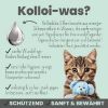noms+ Silberspray für Hunde & Katzen 50ppm | Wundpflege & Wundspray für Hunde & Katzen | Pflegespray | kolloidales Silber Spray bei Hot Spot | Hund Silberspray zur Wundheilung & Hautpflege (noms+)