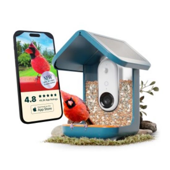 Birdbuddy BIRD BUDDY 2.0 - Vogelhaus mit Solardach (blau) (Birdbuddy)