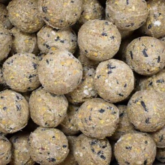 KLASEBO Meisenknödel Premium mit Insekten 100 x ca. 90 Gramm ohne Netz, Futter für Wildvögel, Fettfutter Vögel (KLASEBO)