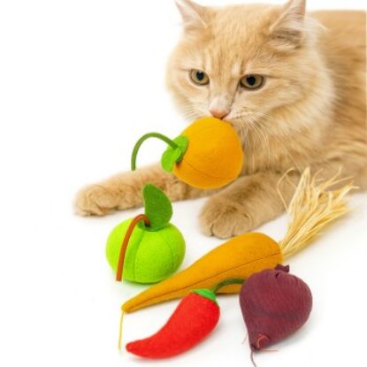 Canadian Cat Company 5er Set Catnip Obst & Gemüse (Canadian Cat Company)