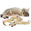Canadian Cat Company 6er Set Catnip Lederkissen (Canadian Cat Company)