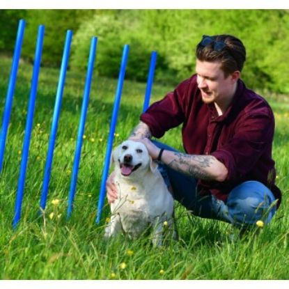 PfotenWunder® 10x Slalomstangen, Profi-Agility-Slalom-Set groß Sport, für kleine & große Hunde-Training Parcour Zubehör (PfotenWunder®)