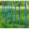 PfotenWunder® 10x Slalomstangen, Profi-Agility-Slalom-Set groß Sport, für kleine & große Hunde-Training Parcour Zubehör (PfotenWunder®)