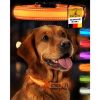 Tierhood Leuchtehalsband LED Halsband orange M (Tierhood)