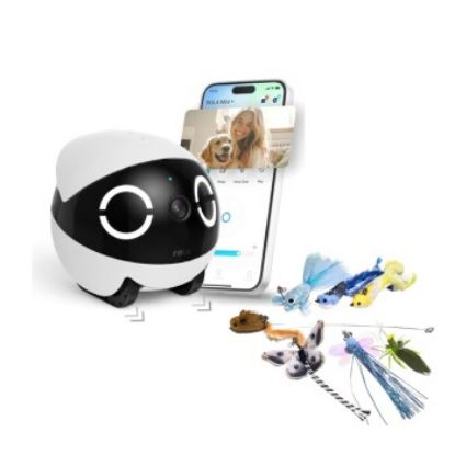 Enabot Rola Mini - Mobiler Heimtierroboter + Zubehör (Enabot)