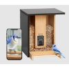 BIRDFY Futterautomat Bamboo AI im Abonnement + Solarpanel (BIRDFY)