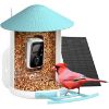 BIRDFY Futtersation AI im Abonnement + Solarpanel (BIRDFY)
