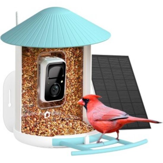BIRDFY Futtersation AI im Abonnement + Solarpanel (BIRDFY)