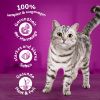 Whiskas 1+ Adult Thunfisch 2x7 kg (Whiskas)