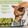 BOBBYS WELT - Schnüffelteppich für Hunde Farbe grün (BOBBYS WELT)