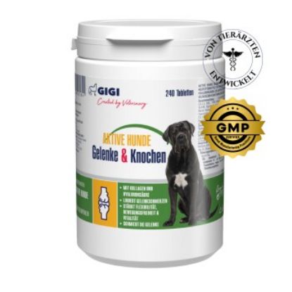 GIGI VET Aktvie Hunde Gelenke & Knochen 240x576 g (GIGI VET)