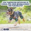 GIGI VET Aktvie Hunde Gelenke & Knochen 240x576 g (GIGI VET)