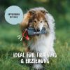 Rudelkönig Futterbeutel - Snackbeutel für Hundetraining grau (Rudelkönig)