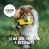 Rudelkönig Futterbeutel - Snackbeutel für Hundetraining gelb (Rudelkönig)