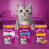 Whiskas Snacks, Crunch, Huhn, Truthahn & Ente 6x100 g (Whiskas)