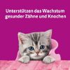 Whiskas Snacks, Junior, Milch-Kätzchen, Huhn 6x50 g (Whiskas)