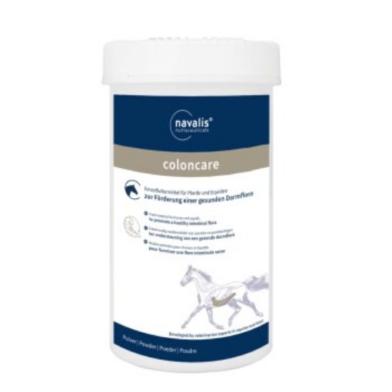 navalis coloncare Horse (navalis)