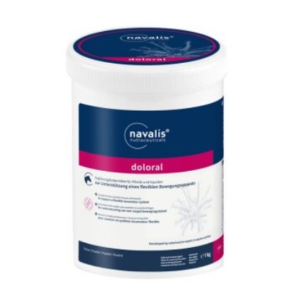 navalis doloral Horse (navalis)