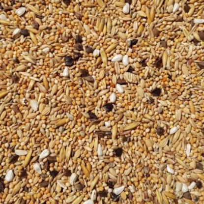 Supravit Agaporniden & Neophemafutter 5 kg (Supravit)