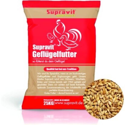 Supravit Braugerste - Ergänzungsfutter für Hühner und Tauben - energiereiches Zusatzfutter liefert wertvolle Kohlenhydrate - leicht verdaulich und gut verträglich 25 kg (Supravit)