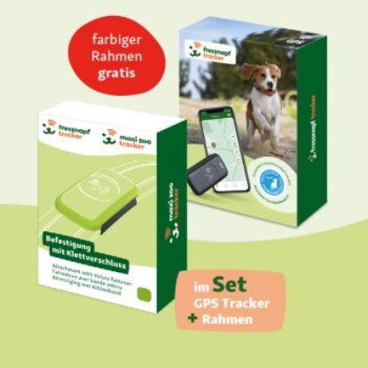 Fressnapf GPS-Tracker für Hunde + Befestigung grün (Fressnapf)