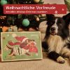 AniForte Adventskalender 2025 für Hunde (AniForte)