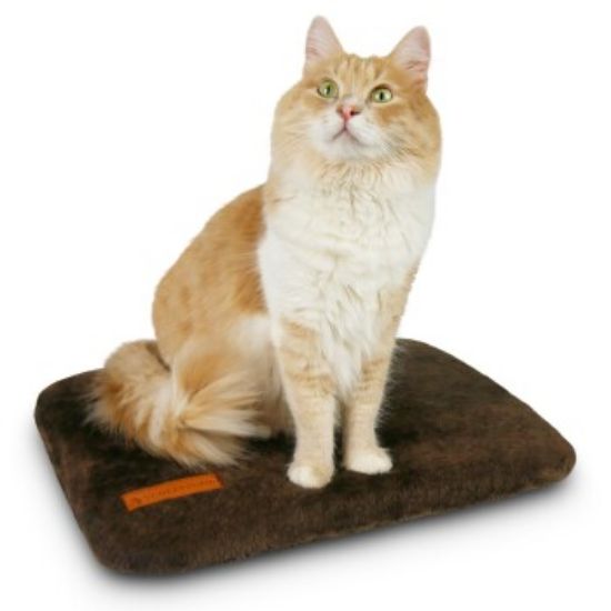 Schlitzohr Fensterbankliege Teddy stabil (Schlitzohr)