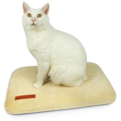 Schlitzohr Fensterbankliege Teddy stabil (Schlitzohr)